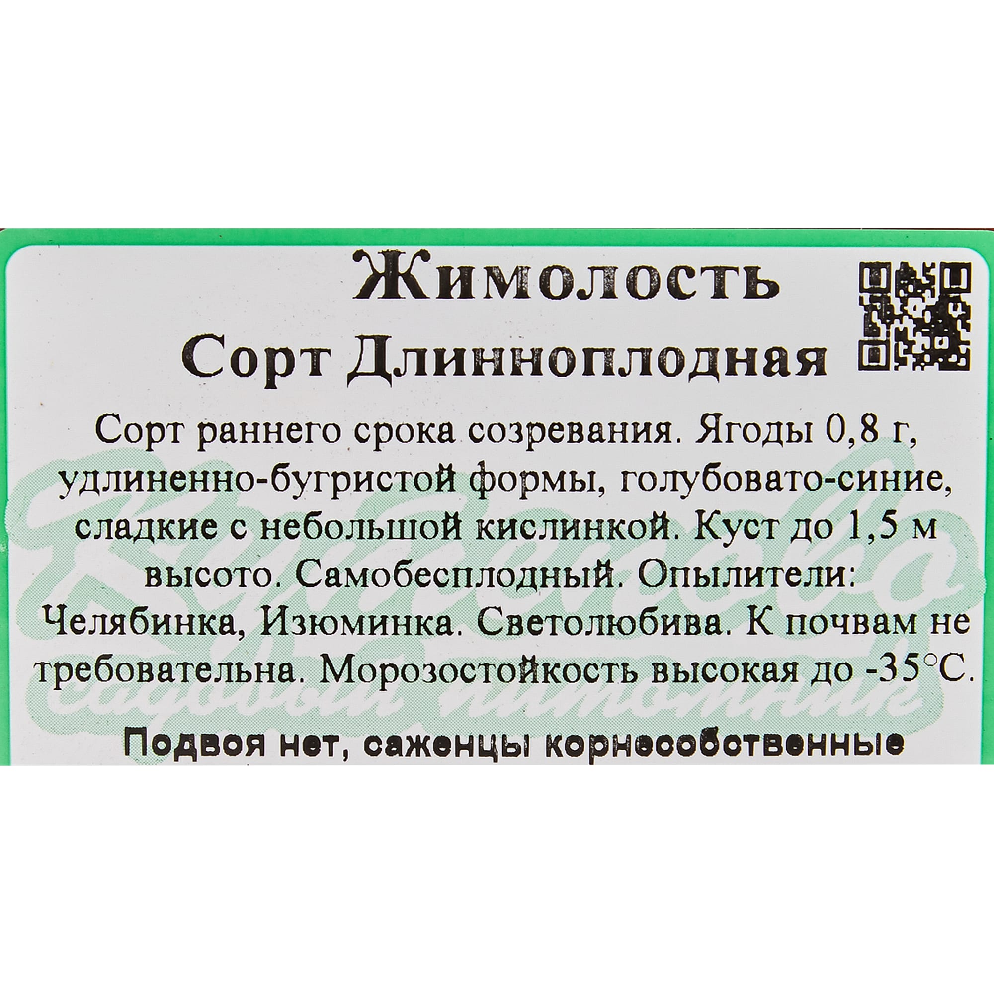 82597079 Жимолость плодовая «Длинноплодная» C3 высота 50 см Santreyd  - Вид №1