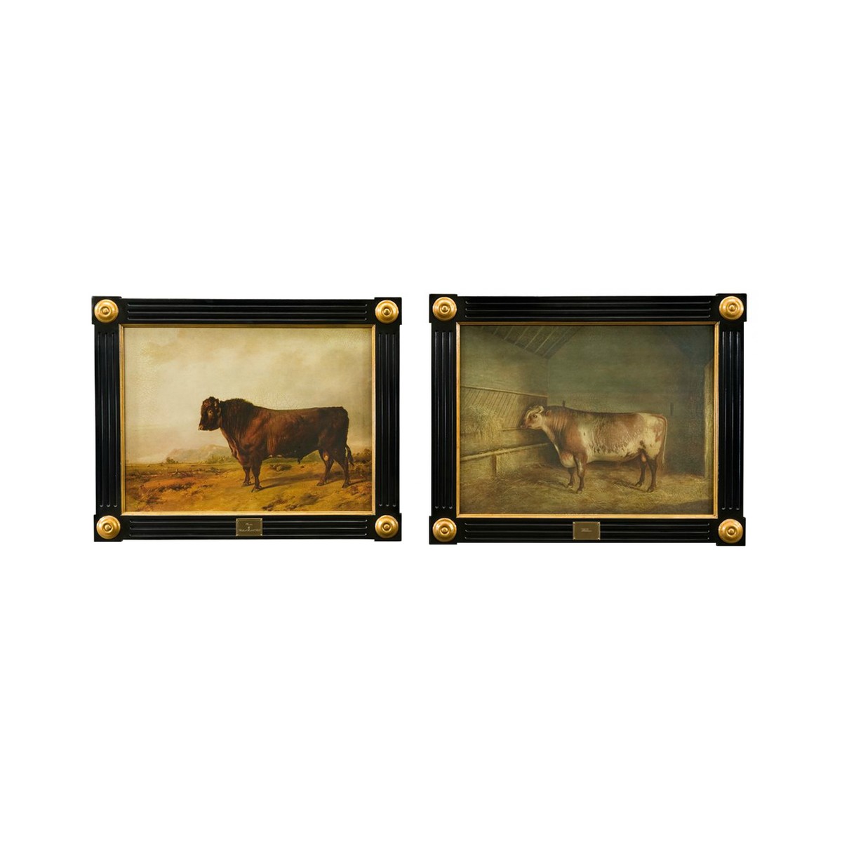 Картины / Williams Theodore Alexander sun-id-374684 - Вид №1