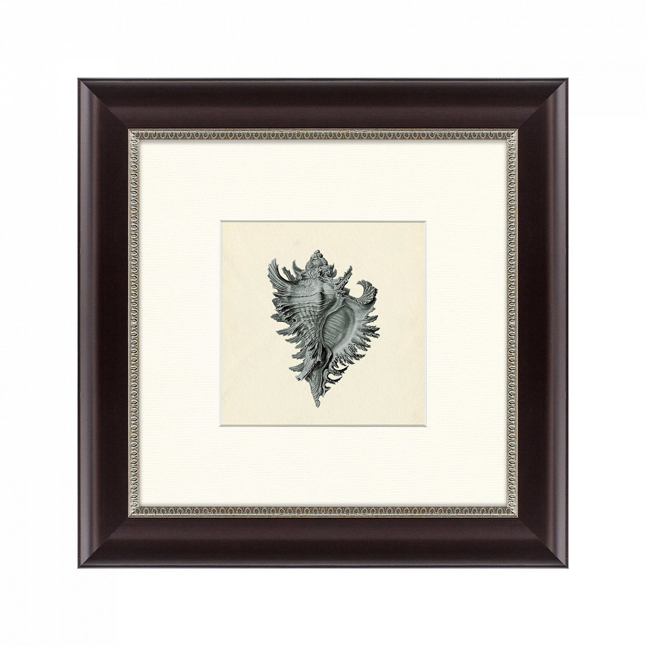 Картина в раме 35х35 см "Морской обитатель №1, 1877г" КАРТИНЫ В КВАРТИРУ  093856 Серый  - Вид №1