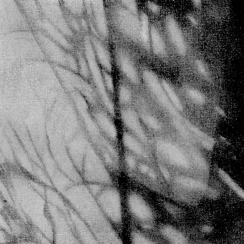 0915/CX38 Картина 0915 Adriani e Rossi  - Вид №4