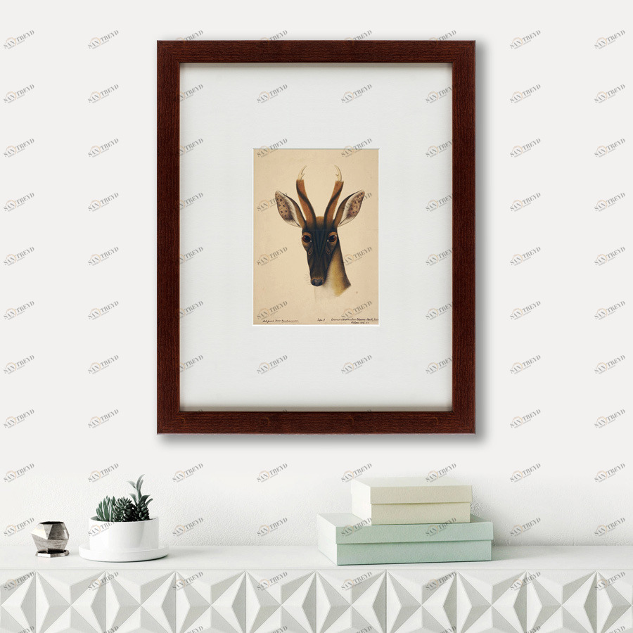Литография на тонированной бумаге 42х52 см The deer head, 1816 КАРТИНЫ В КВАРТИРУ  135661 Бежевый;белый;коричневый;разноцветный 
