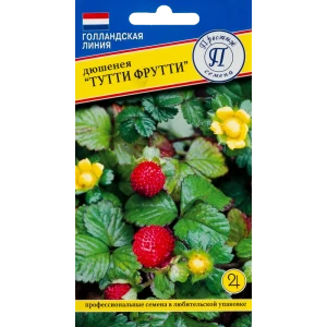 Дюшинея индийская «Тутти-Фрутти» 82107734 STLM-2108042