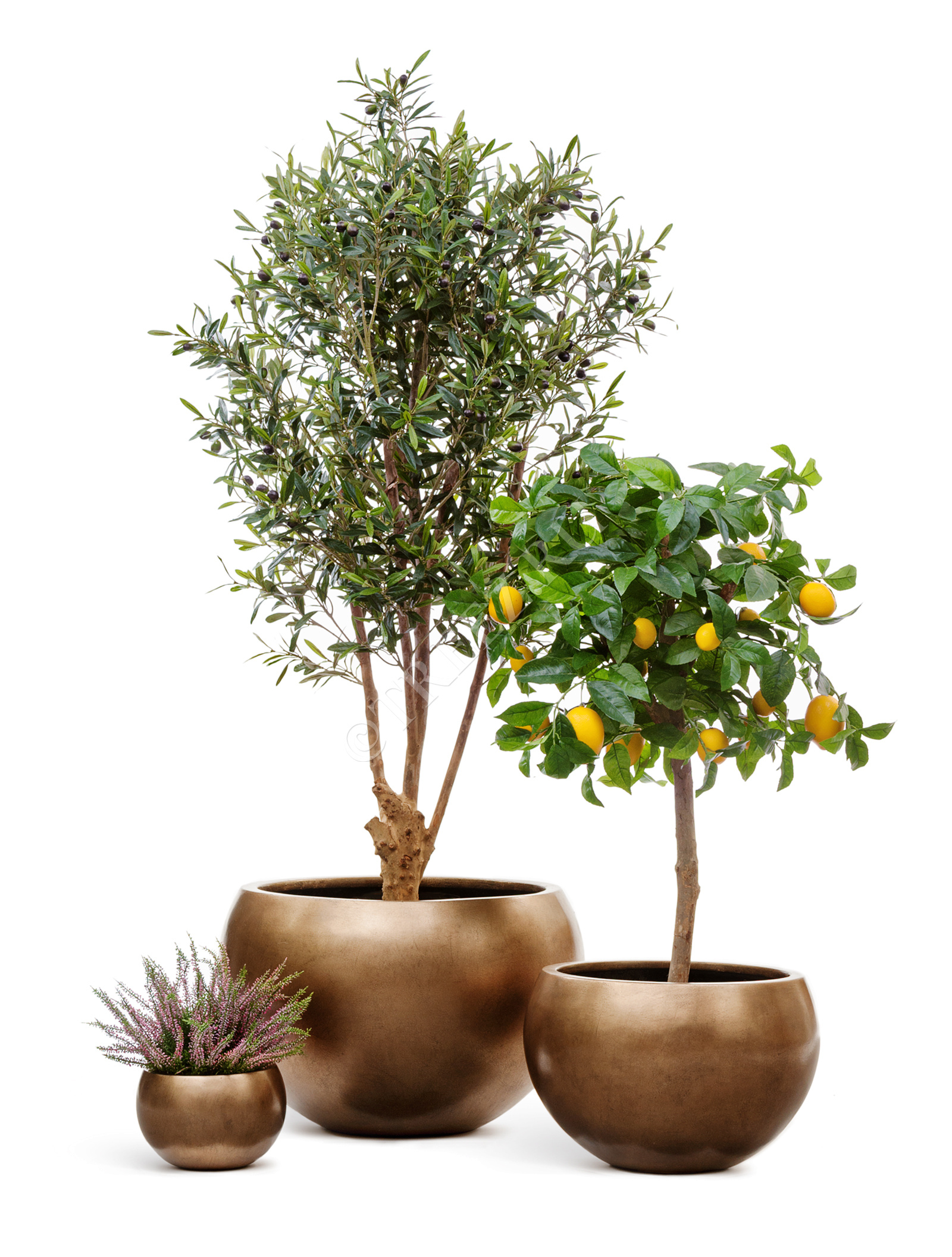 41.3318-04-016-BRS-32 Кашпо  Effectory - серия Metal - Полусфера - Тёмное матовое золото Цветочная коллекция  - Вид №4