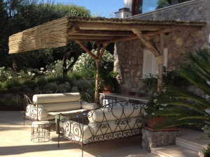 Pergola in Eucalyptus grandis