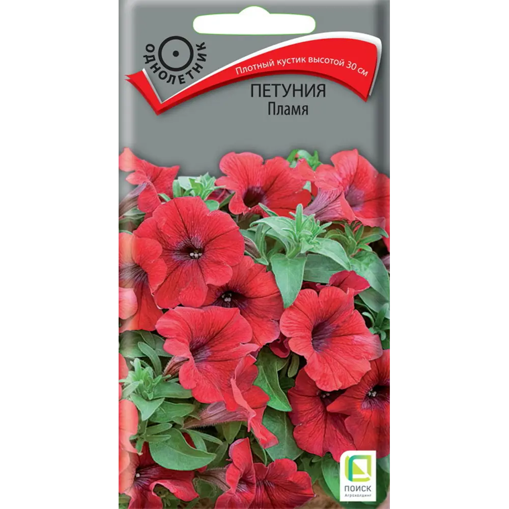 Петуния Вельвет Ред ПОИСК - алые соцветия для яркого сада 89401230 STLM-1574257