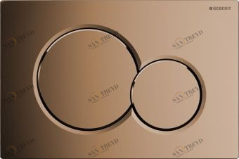 115.770.DT.5 смывная клавиша SIGMA01 (пласт./латунь) Santreyd 