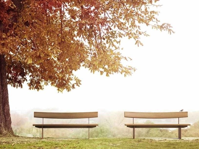 VESTRE Деревянная скамейка со спинкой в ​​современном стиле sun-id-1480425 - Вид №1