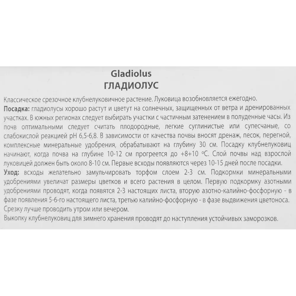 Гладиолус крупноцветковый Принцесс Маргарет Роуз 3 шт. 83588515 STLM-2159271 ПОИСК  - Вид №2