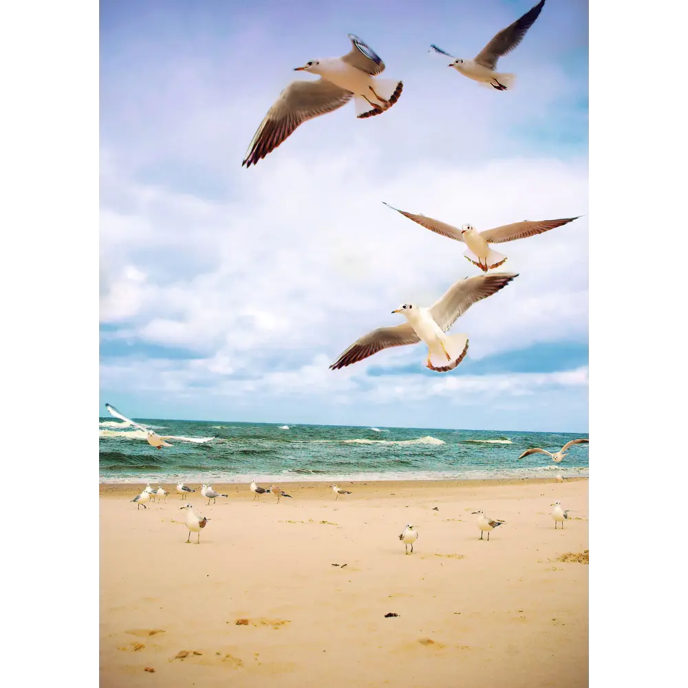 Постер Мечты о море 21x29.7/30x40 см 4 шт АРТ ДИЗАЙН STLM-2043390 - Вид №2