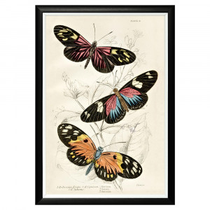 782752442_1818 Арт-постер «Тропический рай», версия 21 Object Desire