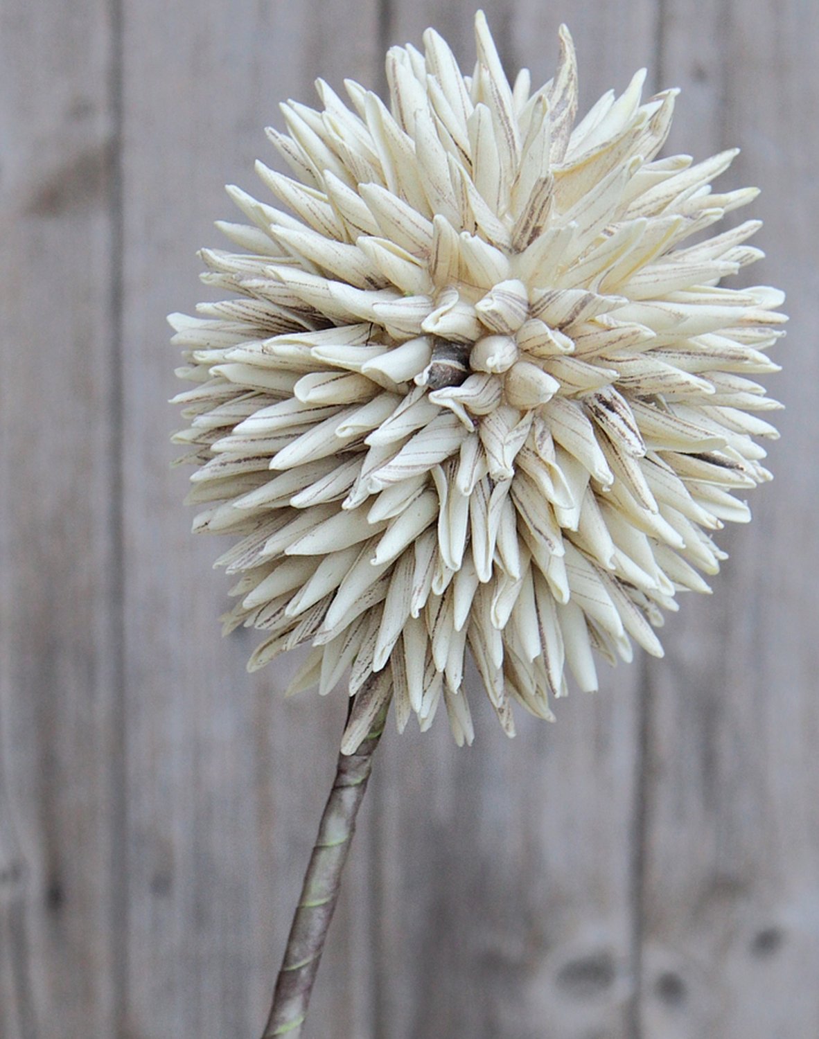 7890 976 a3 Искусственный мягкий цветок 'allium', 80 см, серый H-andreas  - Вид №2