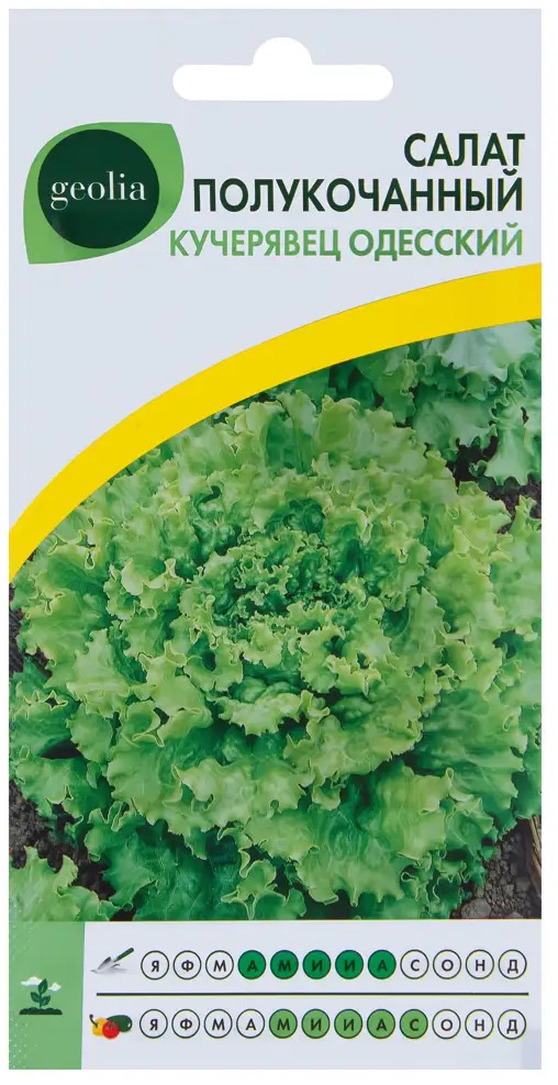 Семена салата GEOLIA Кучерявец Одесский - нежный хрустящий сорт 17584583