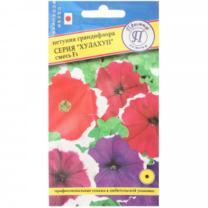 13895501 Петуния грандифлора «Хулахуп F1» смесь окрасок