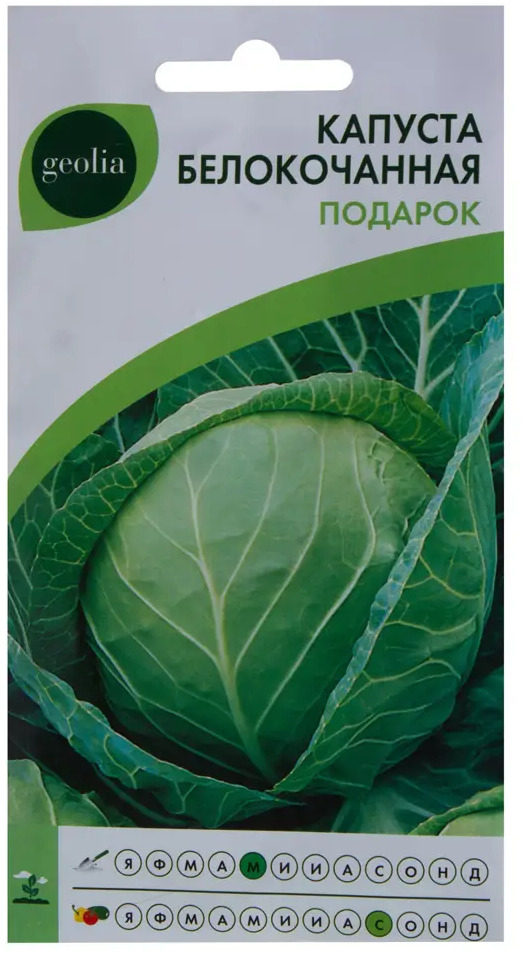Семена капусты белокочанной Geolia Подарок - среднепоздний сорт для длительного хранения 17585421