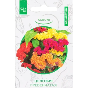 Семена цветов Целозия гребенчатая смесь окрасок Agroni