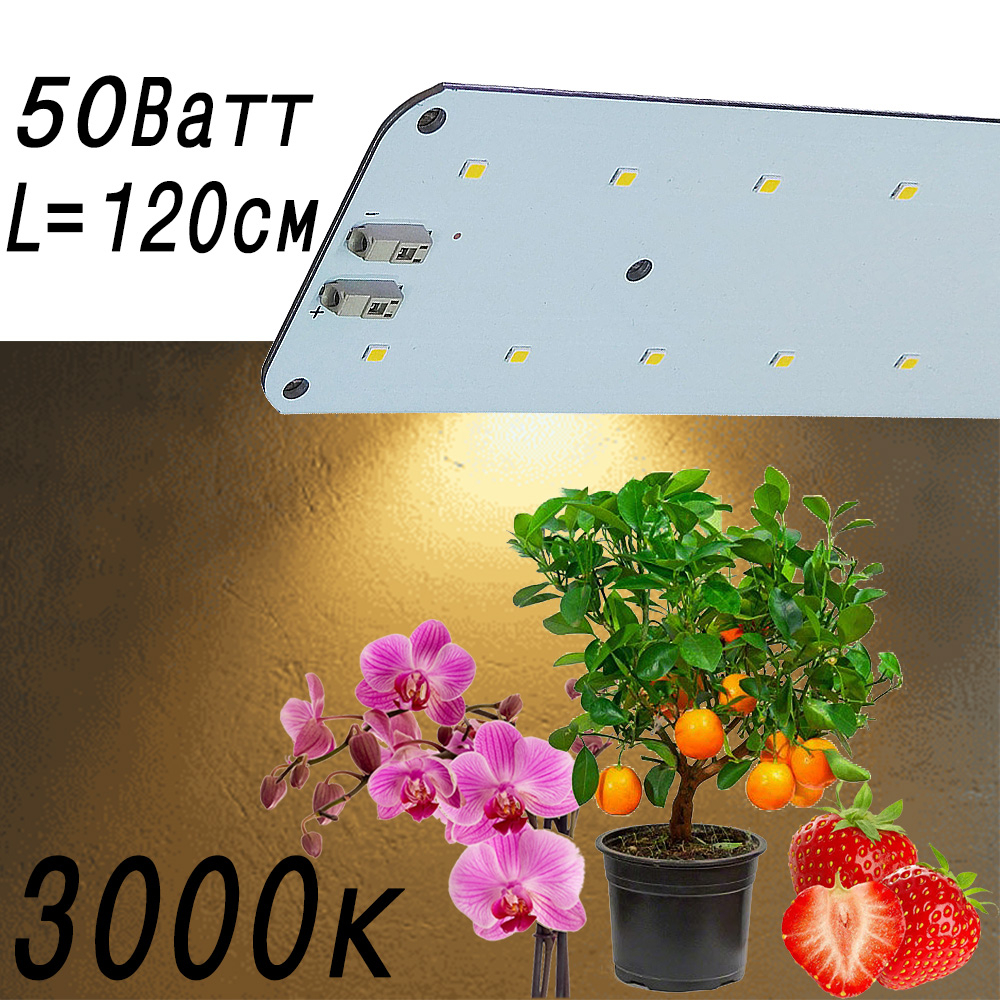 3351 Цветонос 2.4.a - Цветение и Плодоношение. Белый свет. LAB.Space 