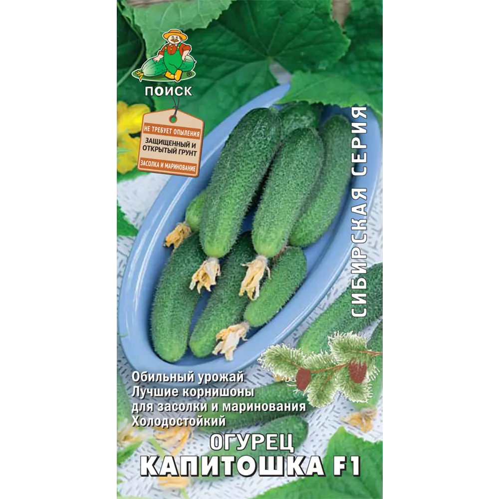 Семена ПОИСК Огурец «Капитошка» F1 - ранний корнишон для засолки 82102362 STLM-0018965