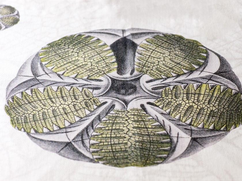 The NapKing Скатерть льняная Blastoidea sun-id-1403098 - Вид №4