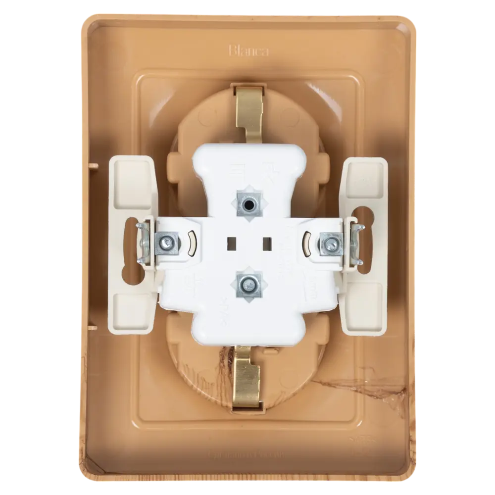 Розетка двойная встраиваемая Systeme Electric Blanca с заземлением 16 А IP20 цвет ясень 84500146 STLM-2054371 - Вид №4