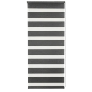 Штора рулонная день-ночь Silver 55x160 см графит 82614440 STLM-2096864