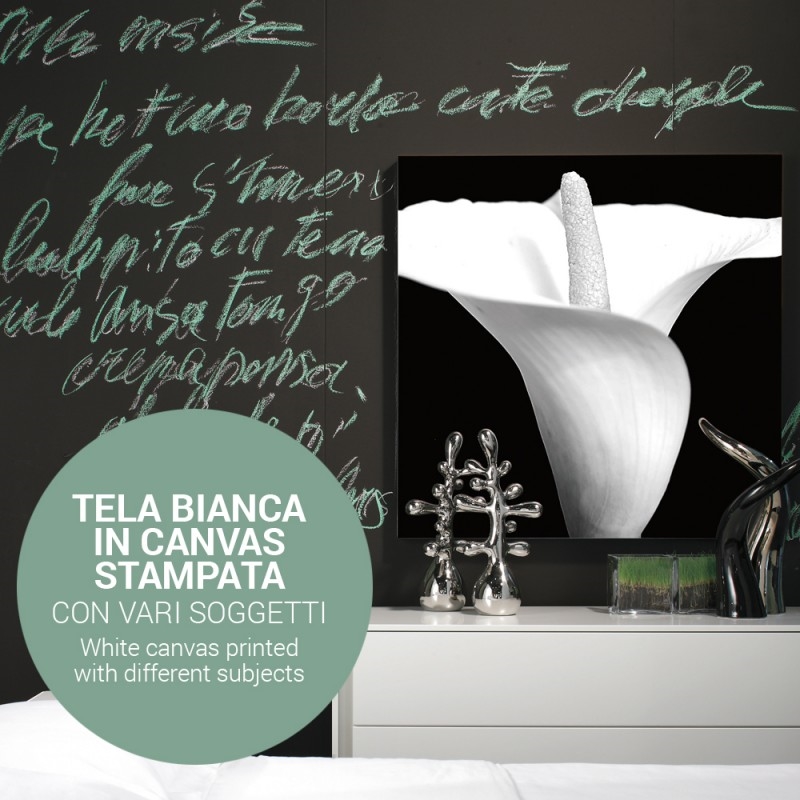 0411/CX38 Картина 0411 Adriani e Rossi  - Вид №1