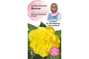 19488918 Семена Бегония клубневая Желтая 6 шт. 118853 ОКТЯБРИНА ГАНИЧКИНА