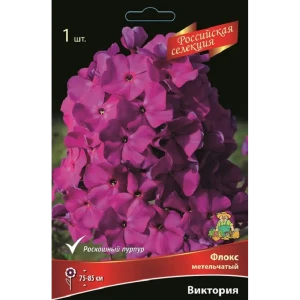 Флокс метельчатый Виктория