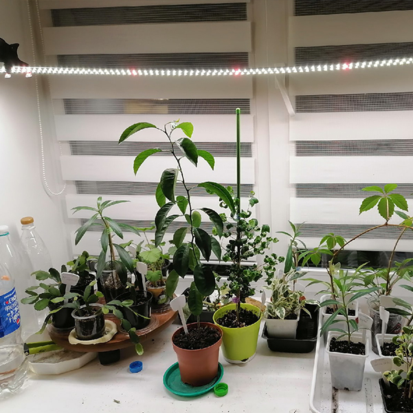 3553 Комплект Quantum line 115 см LAB.Space  - Вид №4