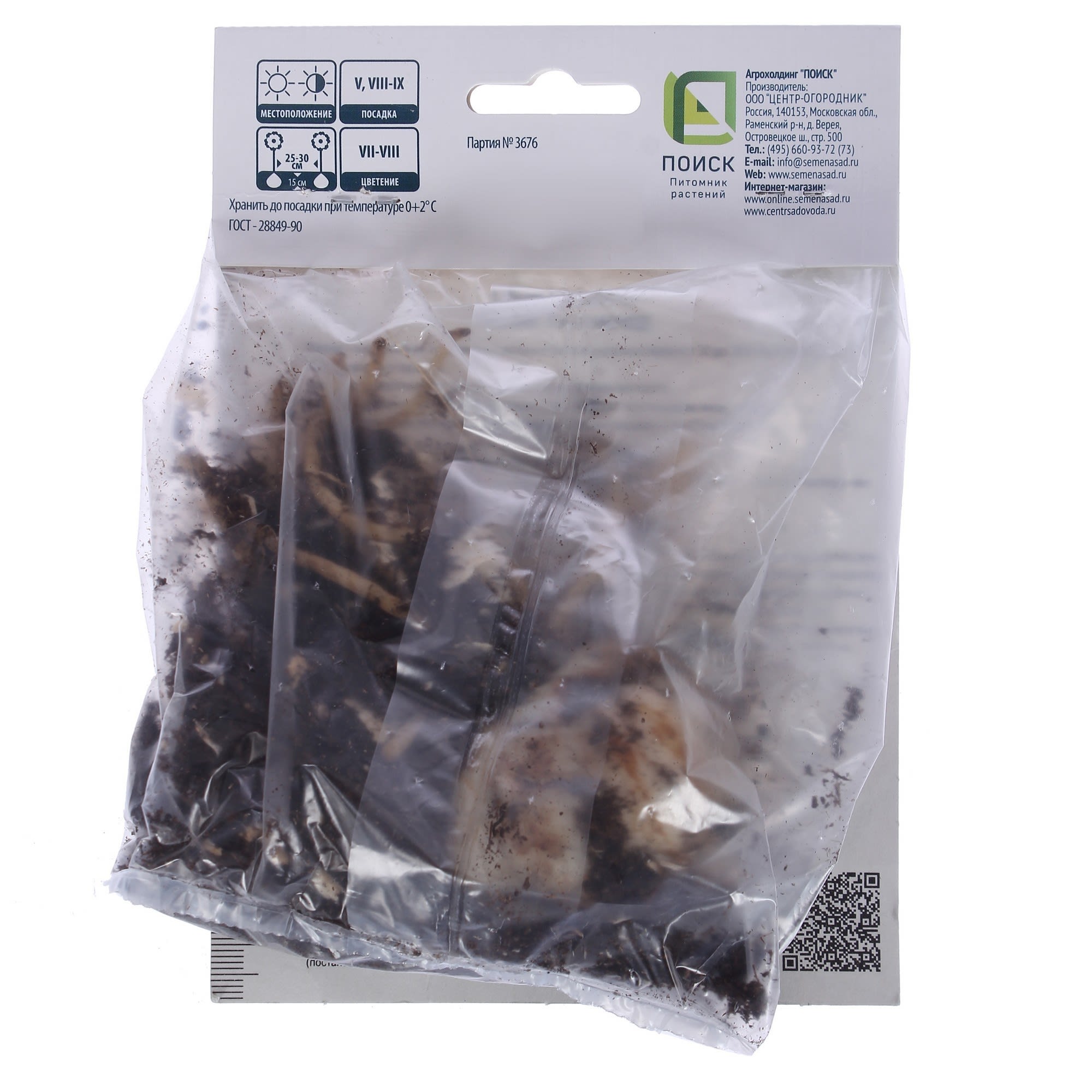 82000183 Лилия ЛА-гибрид «Фиамма», высота 50 см, 1 шт Santreyd  - Вид №1