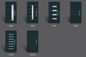 Алюминиевая входная дверь со стеклянными панелями