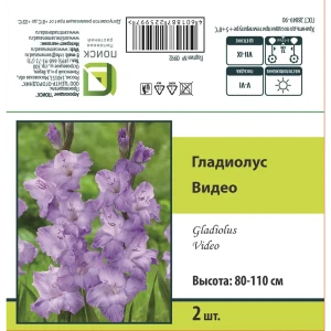 Гладиолус крупноцветковый Видео, 2 шт 89452314 STLM-2150643