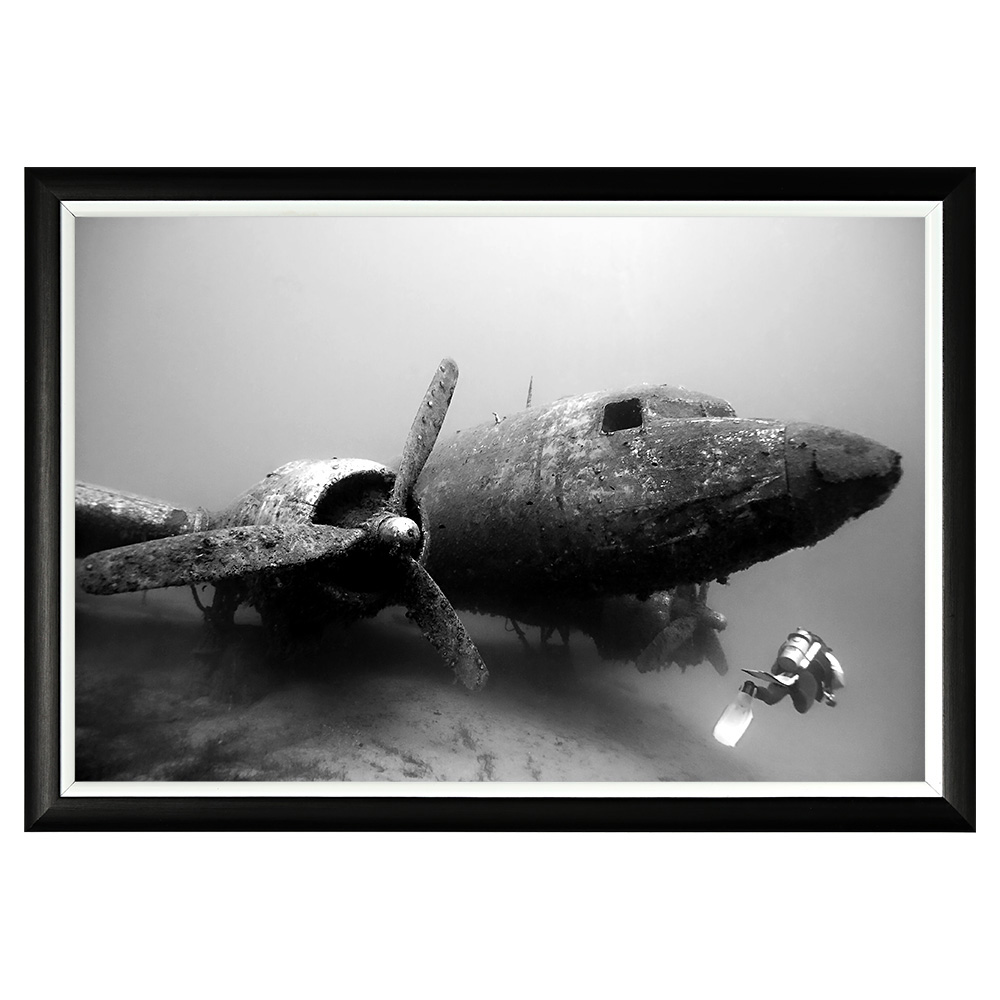 896519143_1818 Арт-постер «Дакота» под водой» Object Desire 