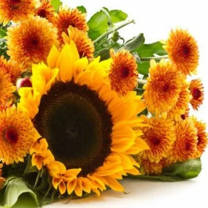 WP02389 Фотообои Verol Фотообои decoline 1х1 м