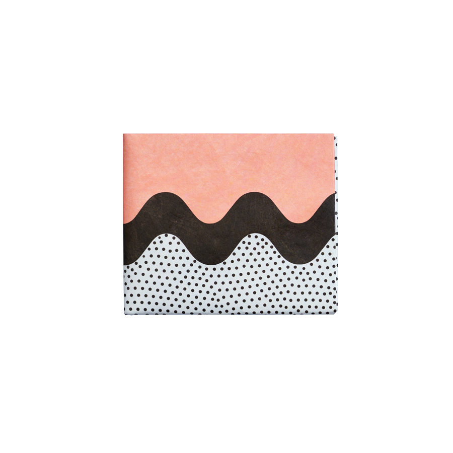 NW-117 Бумажник - new pocketmonster New wallet 