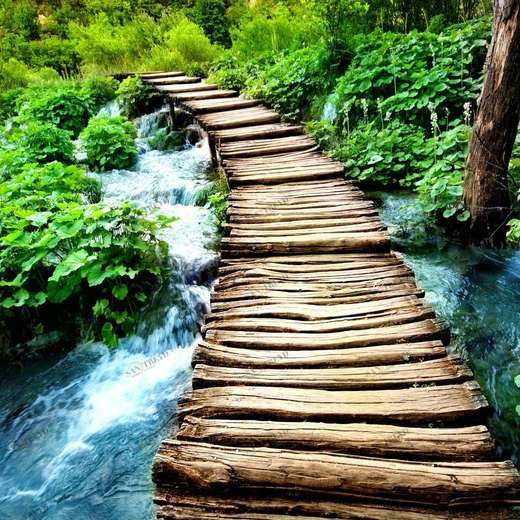 WP00847 Фотообои Verol Фотообои decoline 1х1 м