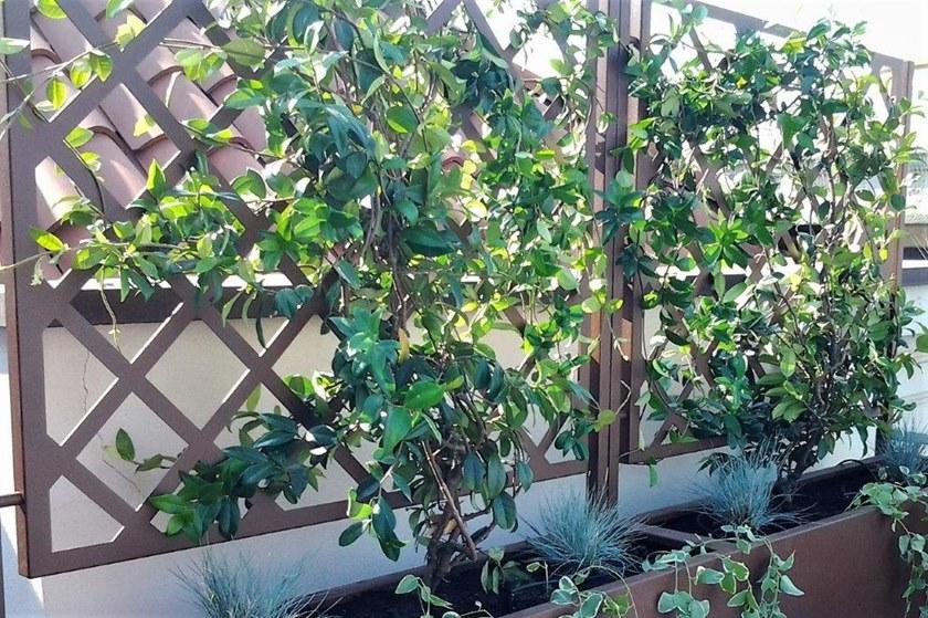 BLOSS Вертикальная зеленая решетка из металла sun-id-1363331 - Вид №5