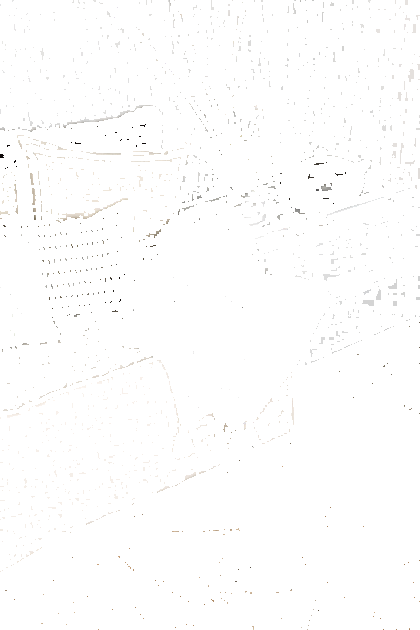 Élitis Одеяло в горошек с принтом на ткани sun-id-1376906 - Вид №4