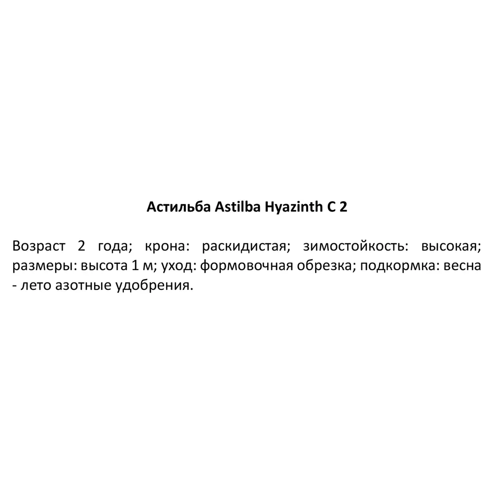 Астильба Гиацинт ø15 h40 см 84832016 STLM-2164317 PLANTMARKET 