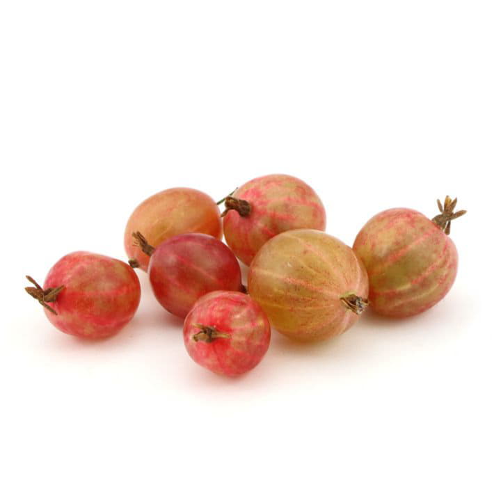 Крыжовник красный Santreyd 5060