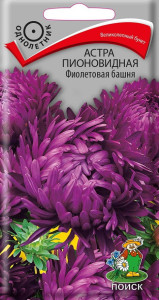 86217909 Семена цветов Поиск астра пионовидная Фиолетовая башня STLM-0066901 Santreyd