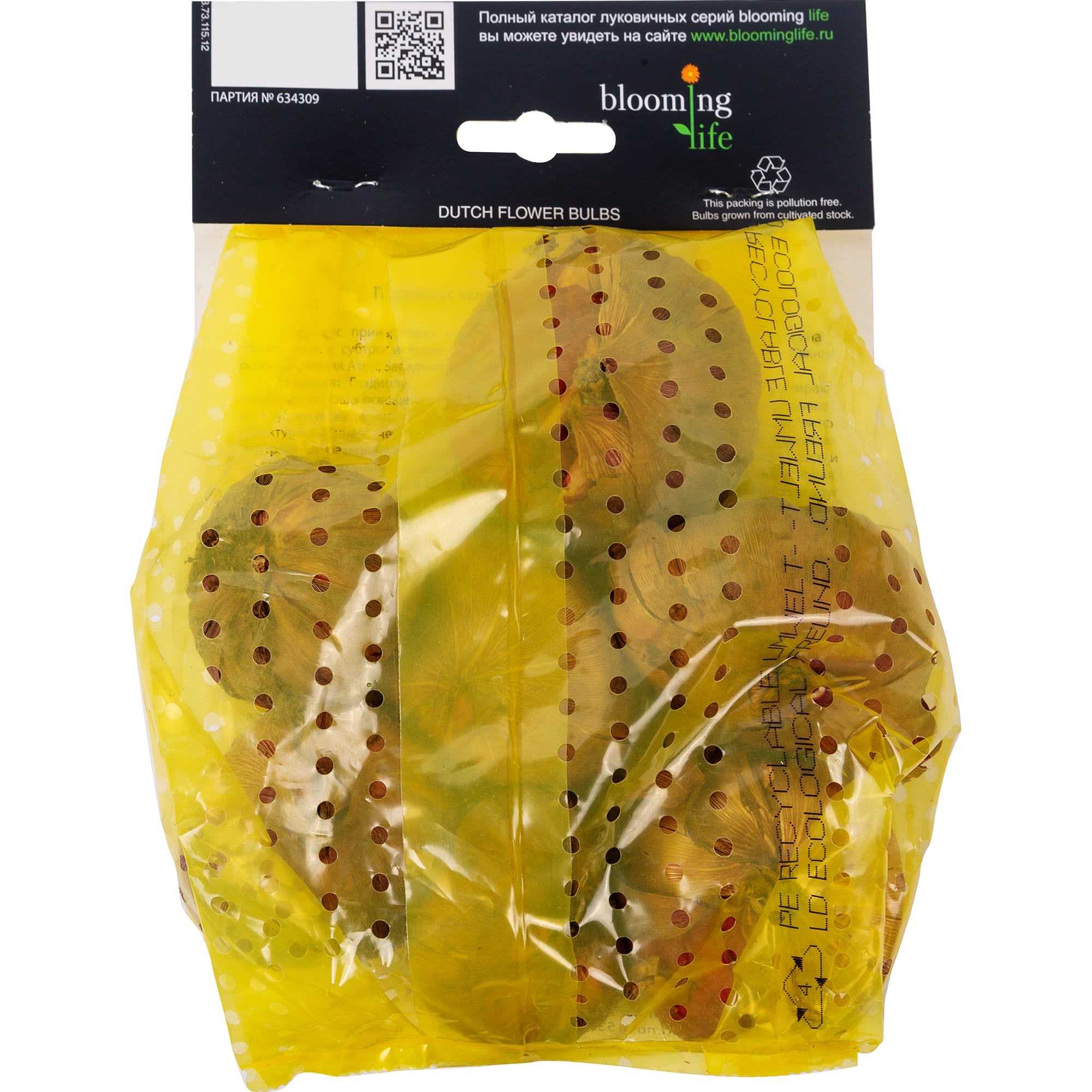 81945907 Гладиолус крупноцветковый «Коразон» Santreyd  - Вид №1