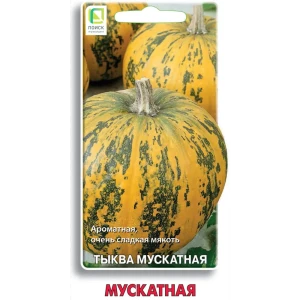 Семена фруктов Поиск тыква Мускатная 10 шт. 86217775 STLM-2168045