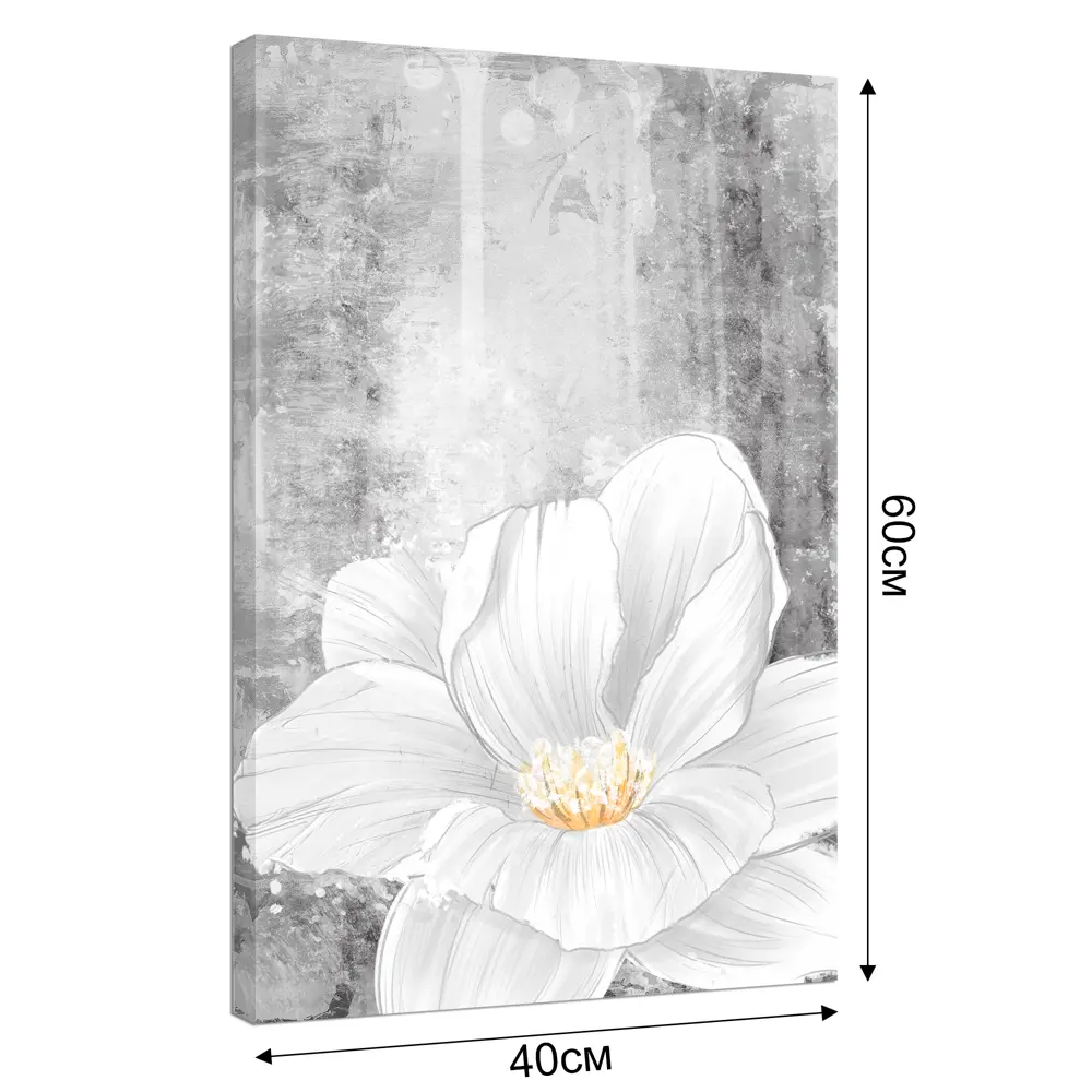 Картина на холсте Белый цветов 40x60 см Постер-лайн STLM-2176246 - Вид №2