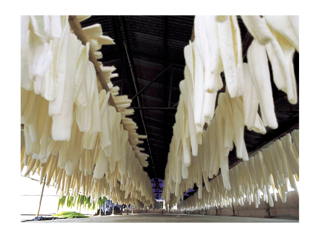 253530 Люффа огурец Buerstenwelt  - Вид №2