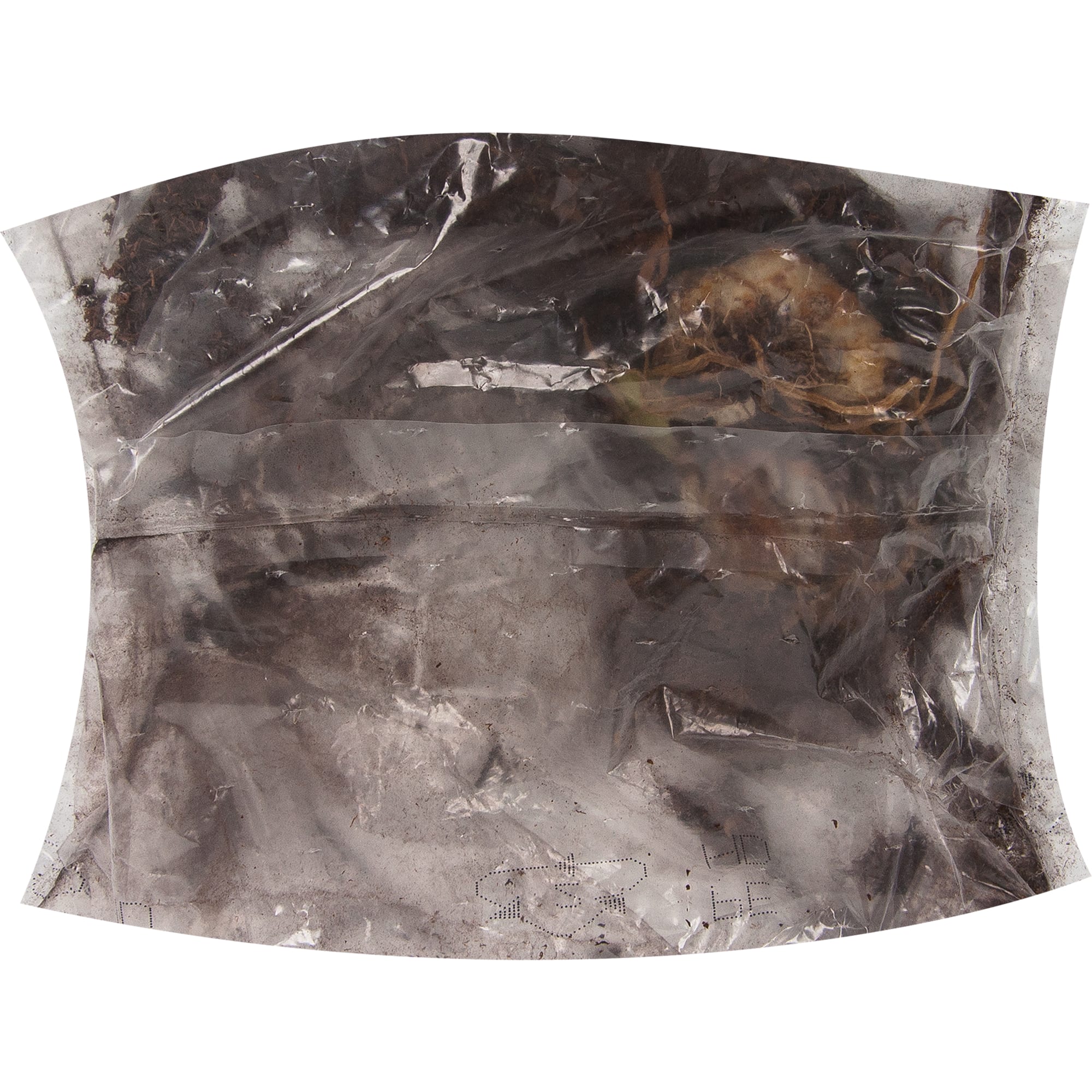 83760995 Лилия гибридная микс луковица 10/12 Santreyd 