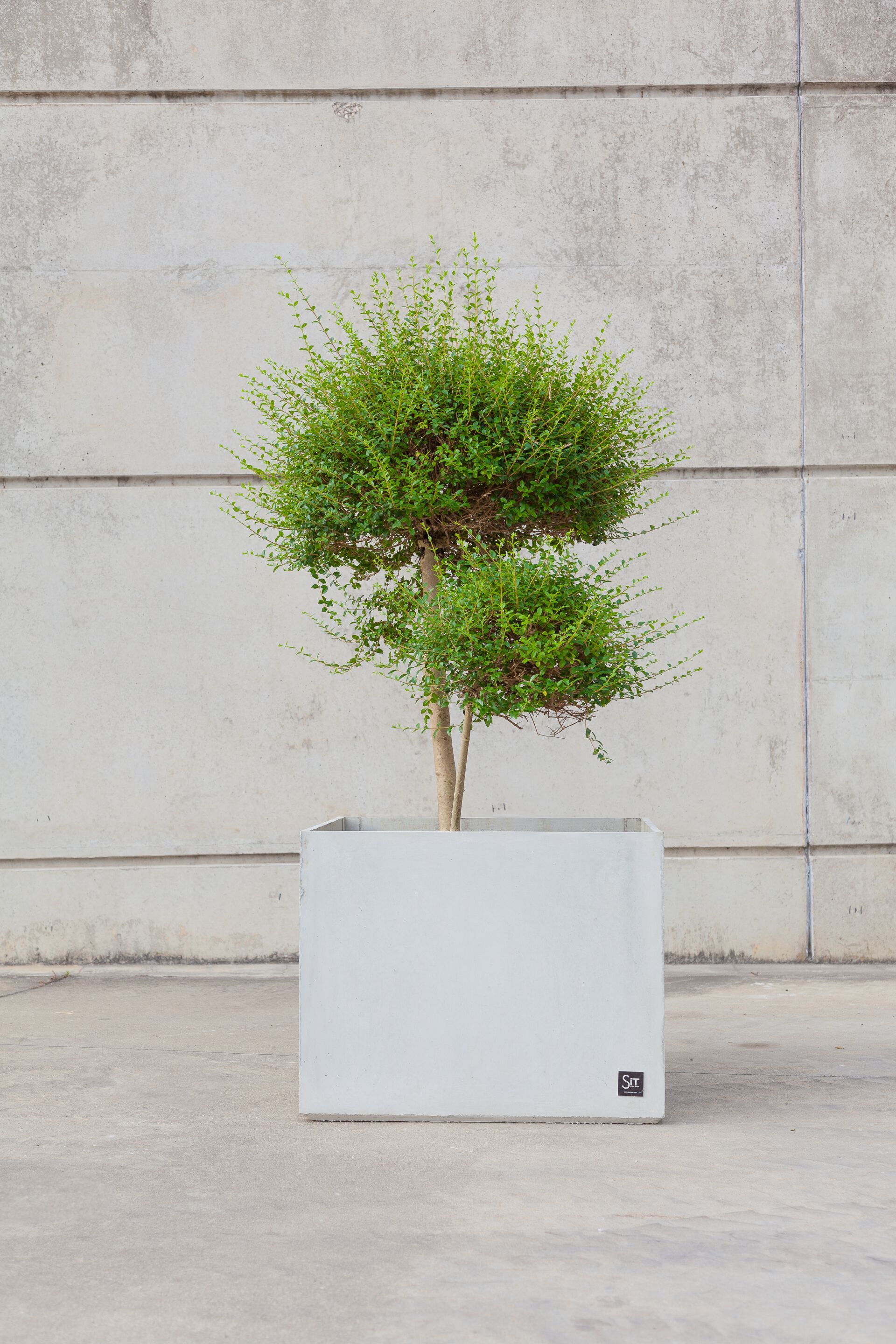 Квадратный плантатор из армированного волокном бетона SIT Cubic ARCH-00079442 - Вид №6