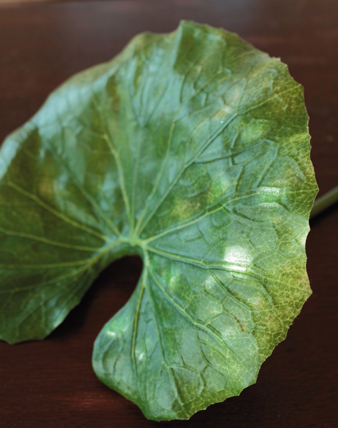 6340 883 a3 Лист искусственного лотоса, 90 см, Ø 30 см, зеленый H-andreas  - Вид №2