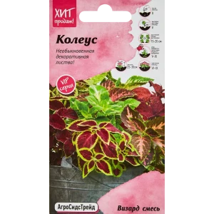 Семена цветов Агросидстрейд колеус Визард микс 10 шт. 89347792 STLM-2065510