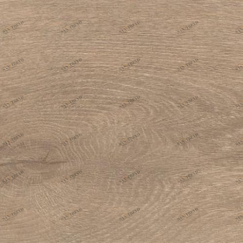 Ламинат Haro Дуб Венето Кремовый 1000900480