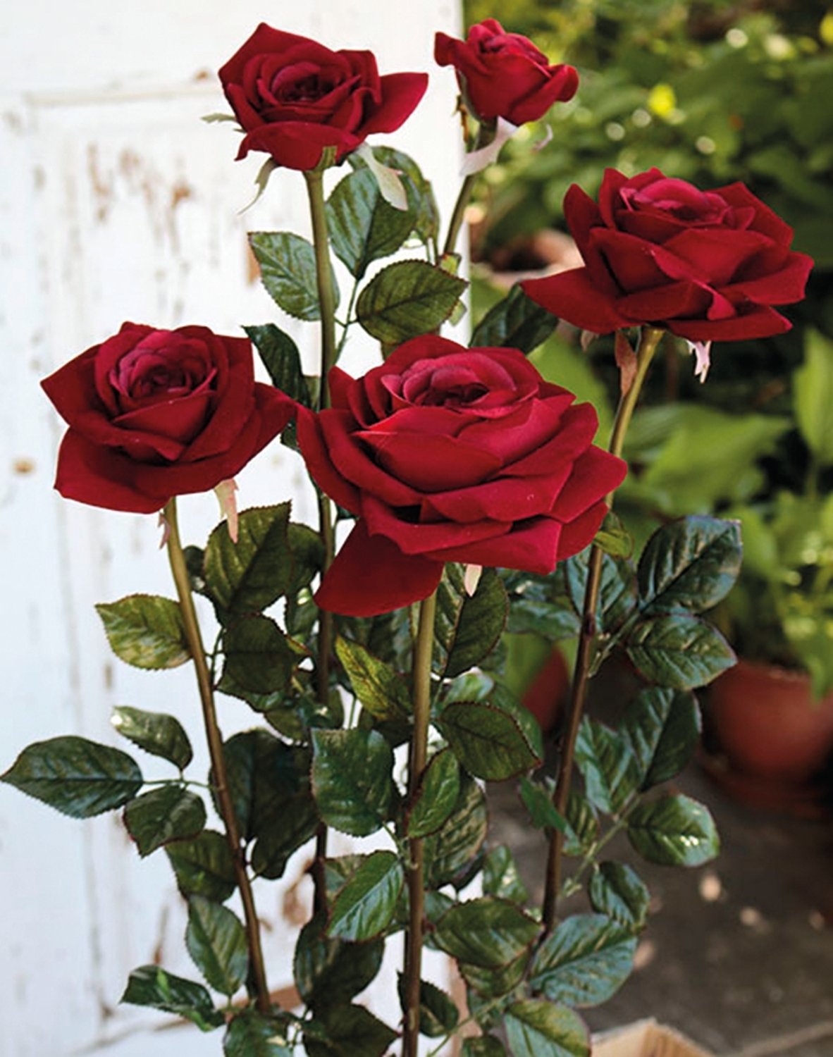 2619 444 a3 Набор искусственных роз, 5 шт, 68 см, красные H-andreas  - Вид №6